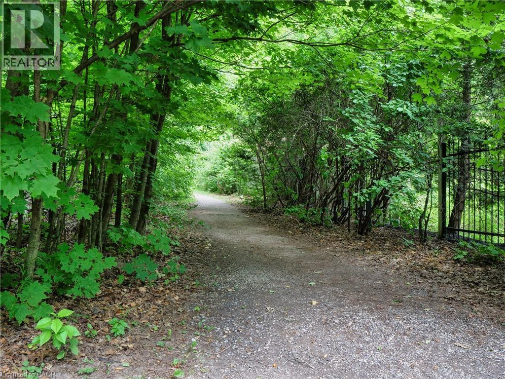 317 Winterburg Court, Waterloo, Ontario  N2V 2S8 - Photo 5 - 40786029