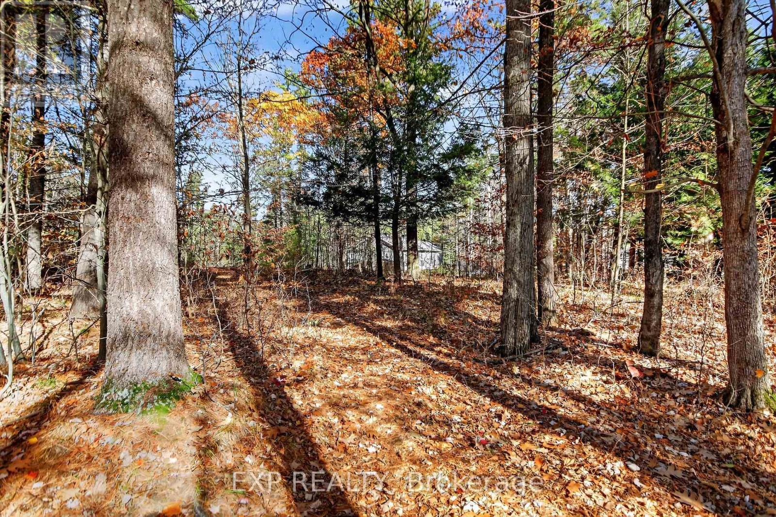 2989 Ramsay Concession 3c Road, Mississippi Mills, Ontario K0A 1A0 - Photo 49 - X12521206