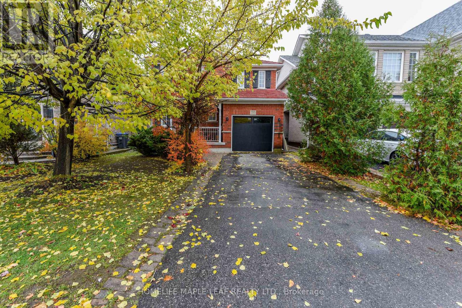 250 Brisdale Drive, Brampton, Ontario  L7A 2T3 - Photo 3 - W12525856