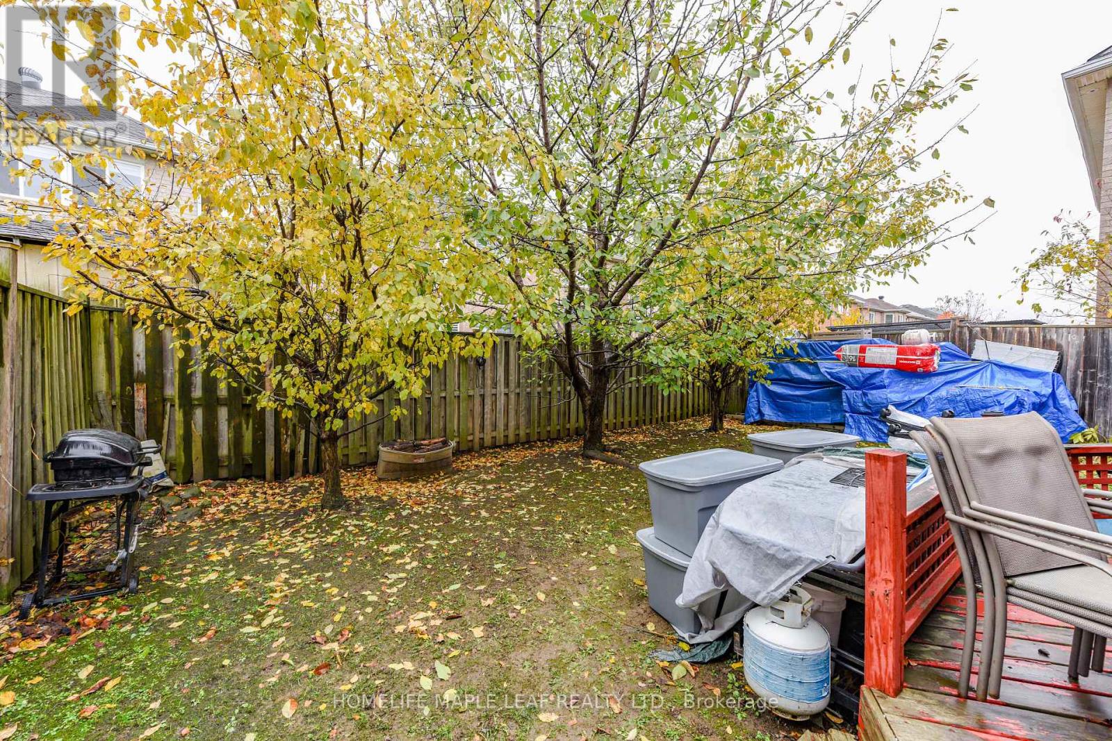 250 Brisdale Drive, Brampton, Ontario  L7A 2T3 - Photo 38 - W12525856