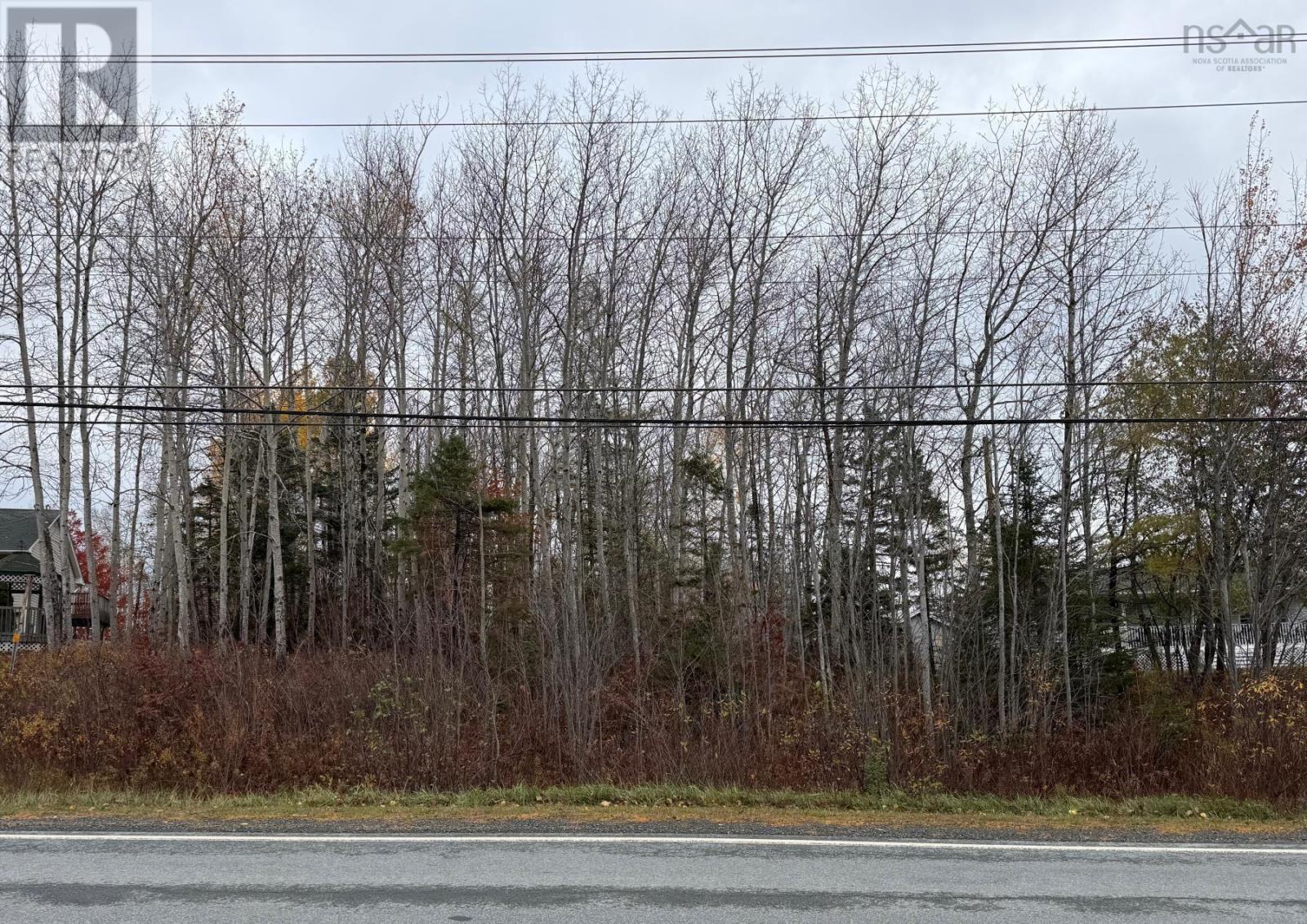 Highway 214, Nine Mile River, Nova Scotia  B2S 2R4 - Photo 2 - 202527560