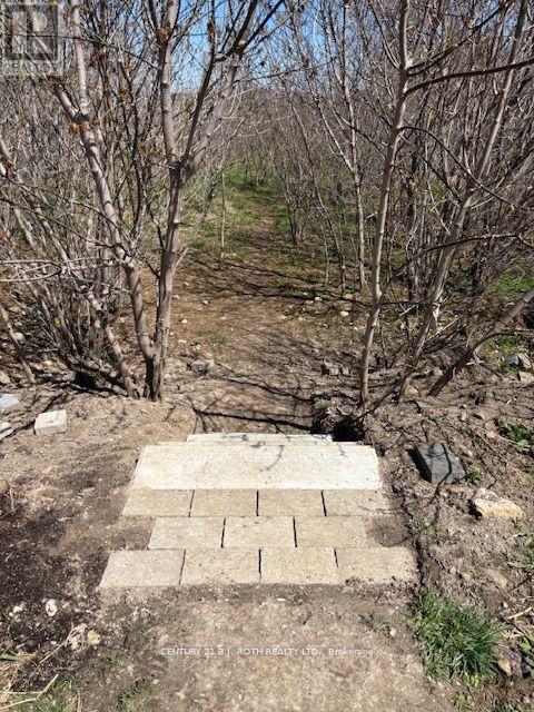 157 Mary Street, Clearview, Ontario  L0M 1G0 - Photo 38 - S12479035