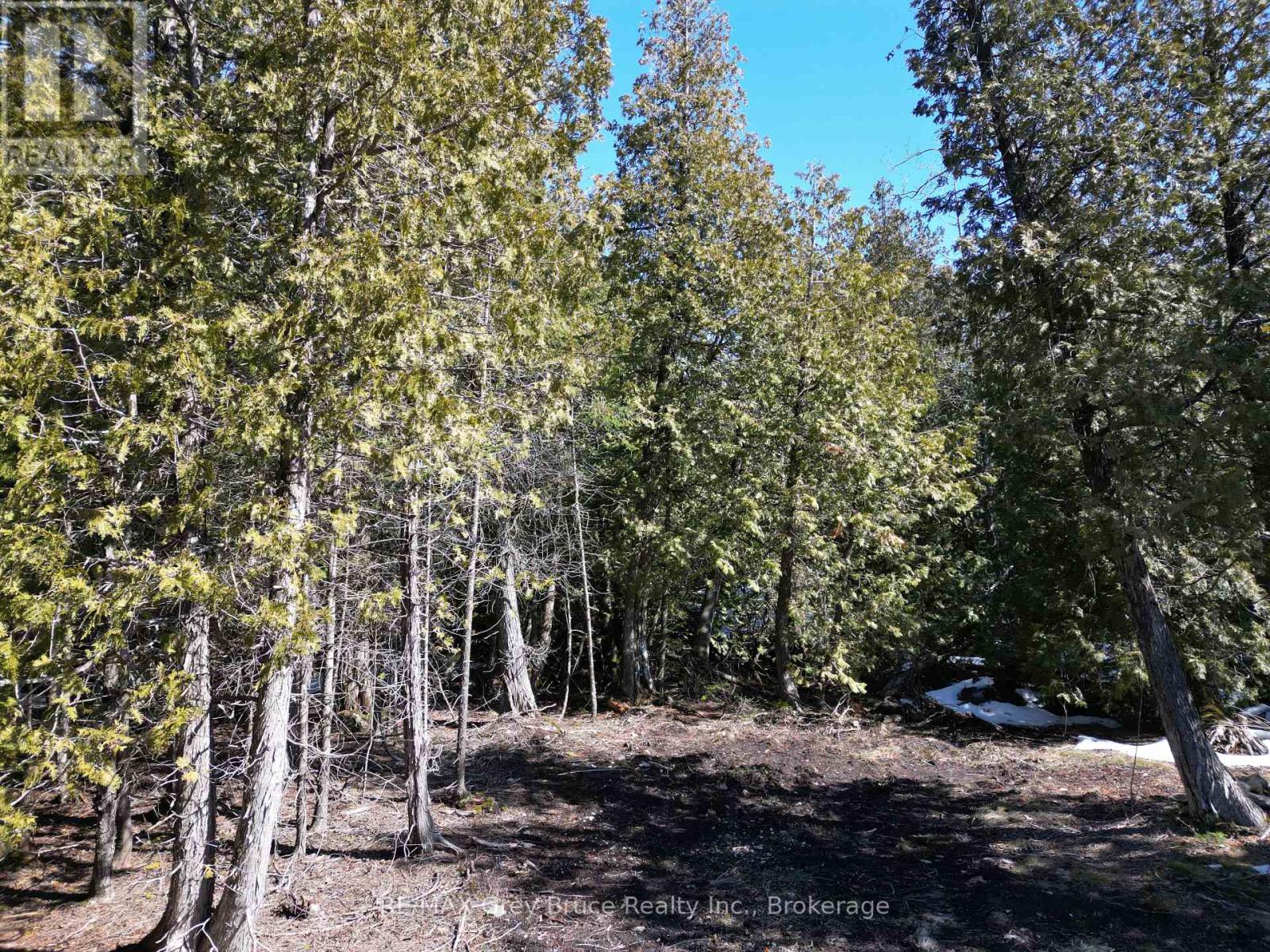 31 Baise Avenue, Northern Bruce Peninsula, Ontario  N0H 2R0 - Photo 10 - X12526086