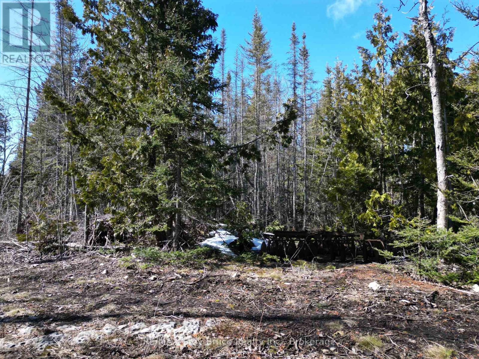 31 Baise Avenue, Northern Bruce Peninsula, Ontario  N0H 2R0 - Photo 11 - X12526086