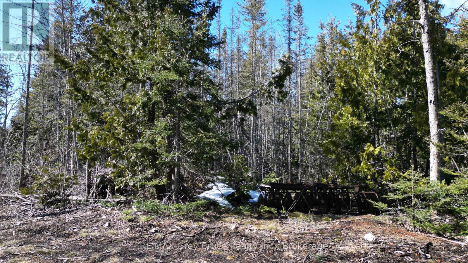 31 Baise Avenue, Northern Bruce Peninsula, Ontario  N0H 2R0 - Photo 12 - X12526086