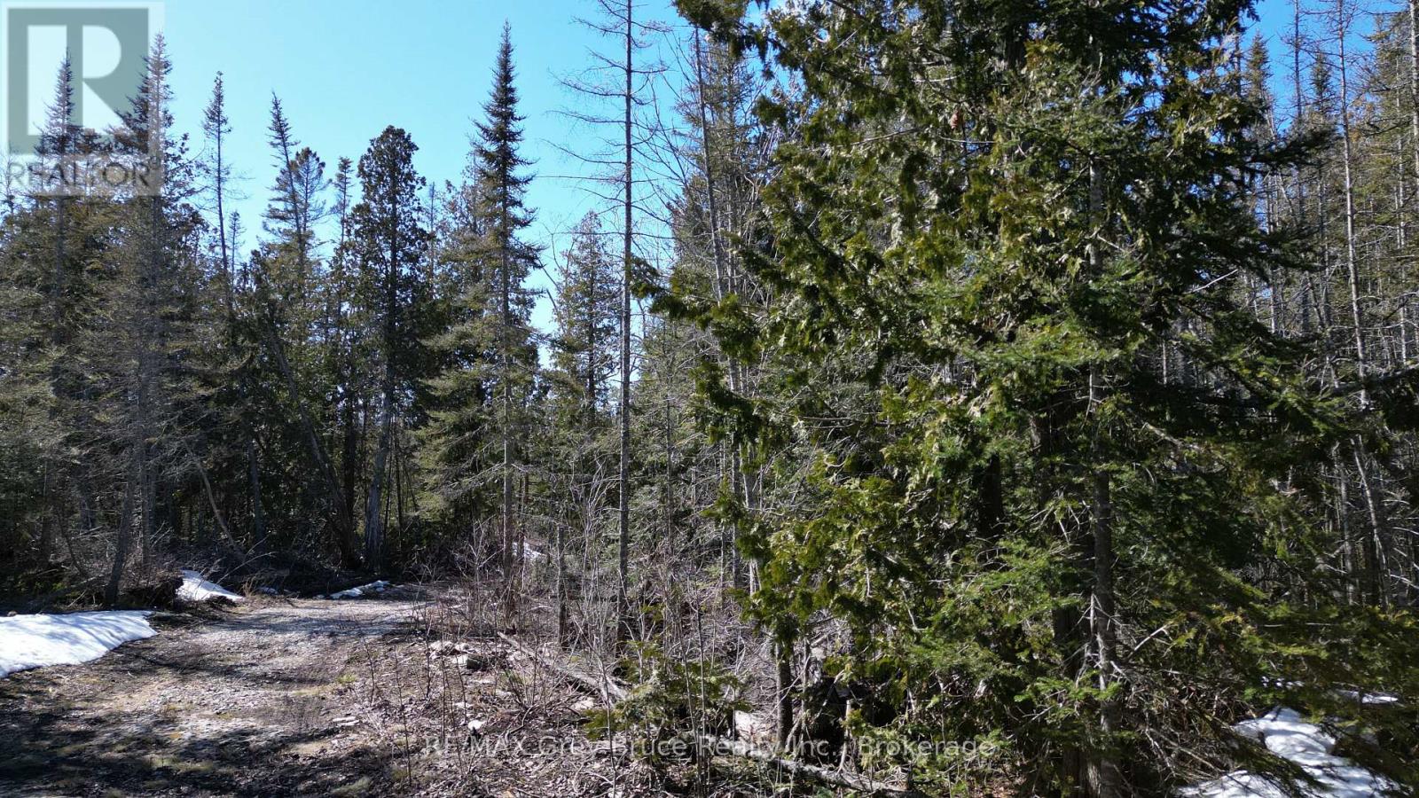 31 Baise Avenue, Northern Bruce Peninsula, Ontario  N0H 2R0 - Photo 13 - X12526086