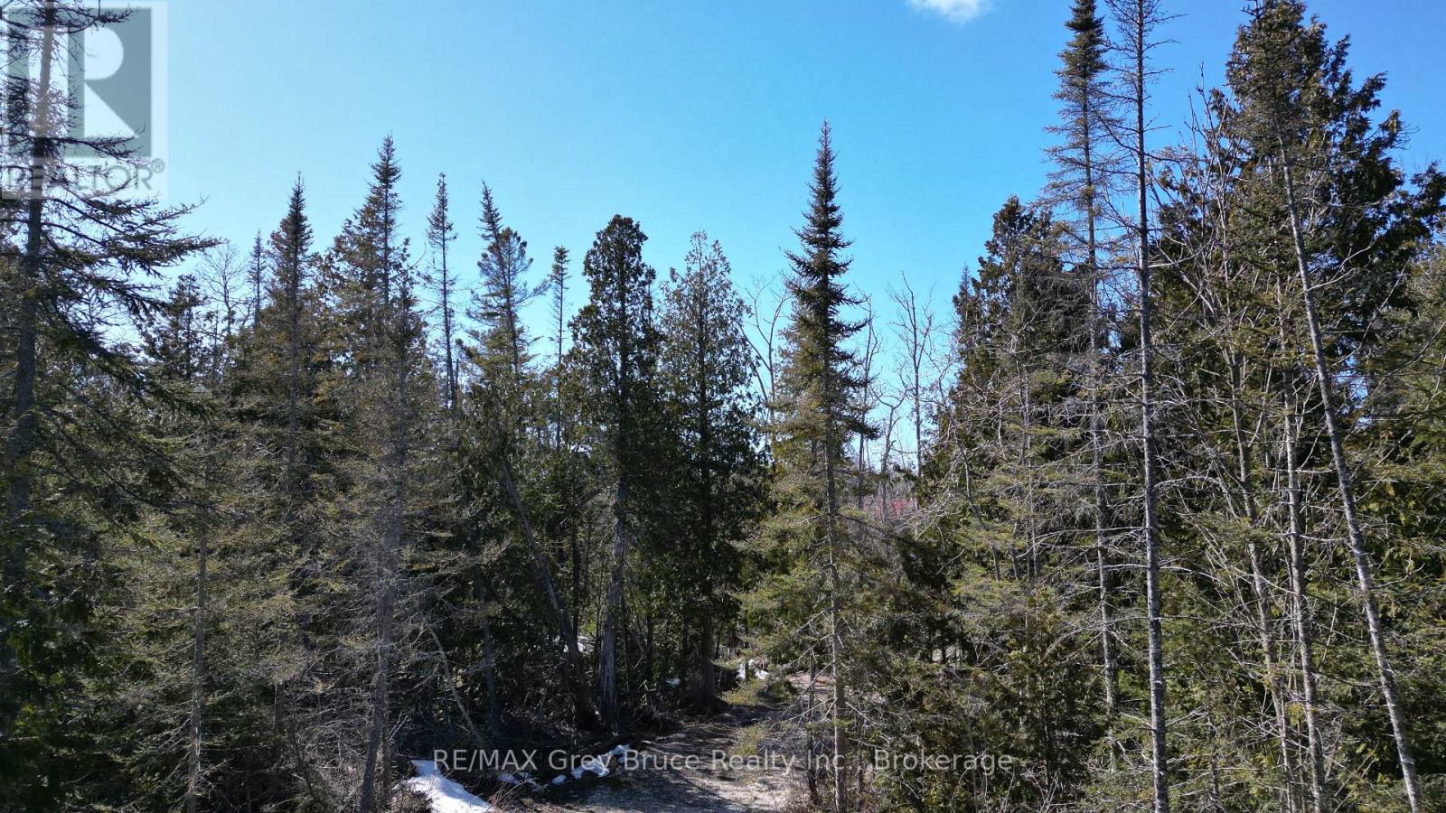 31 Baise Avenue, Northern Bruce Peninsula, Ontario  N0H 2R0 - Photo 14 - X12526086