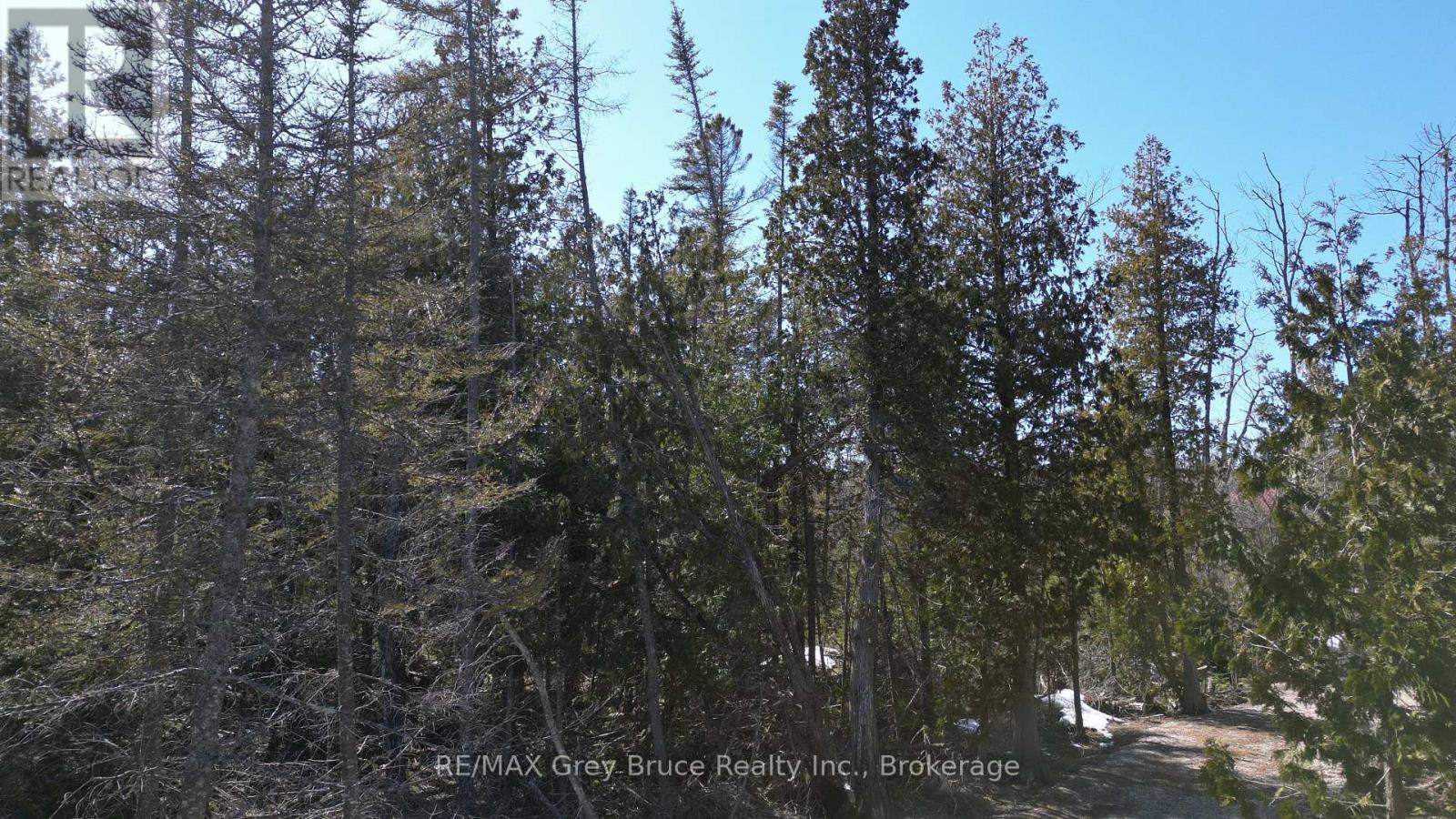 31 Baise Avenue, Northern Bruce Peninsula, Ontario  N0H 2R0 - Photo 15 - X12526086