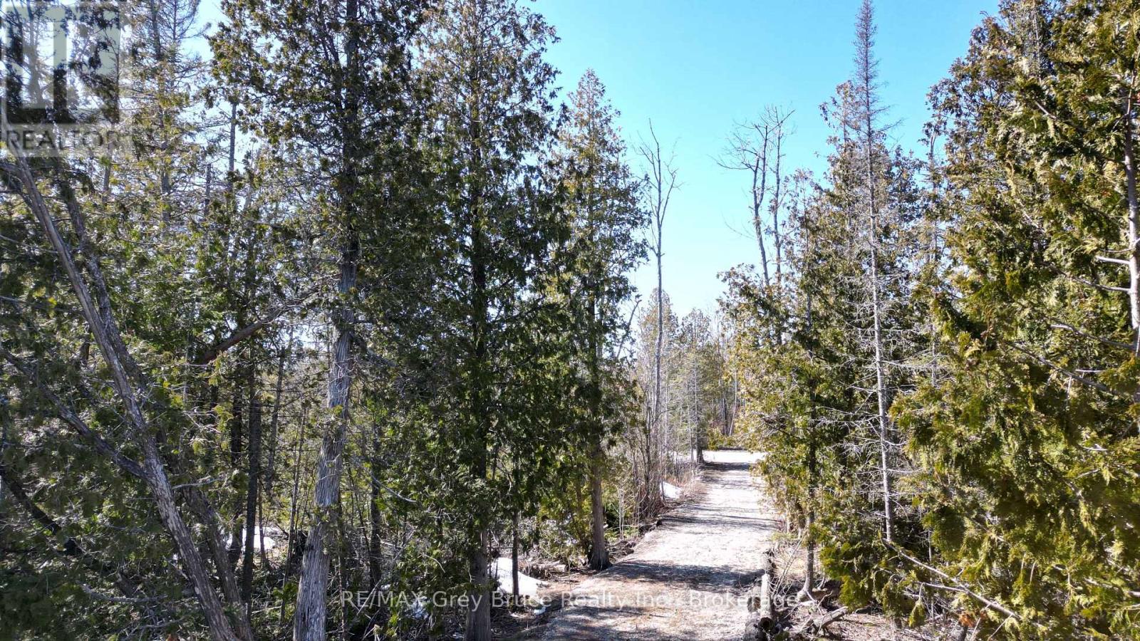 31 Baise Avenue, Northern Bruce Peninsula, Ontario  N0H 2R0 - Photo 16 - X12526086