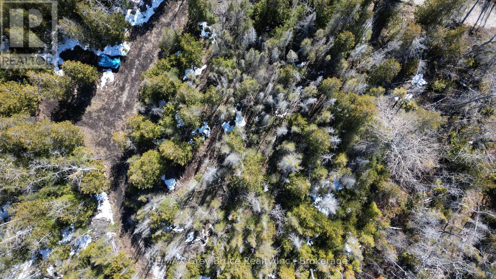 31 Baise Avenue, Northern Bruce Peninsula, Ontario  N0H 2R0 - Photo 18 - X12526086