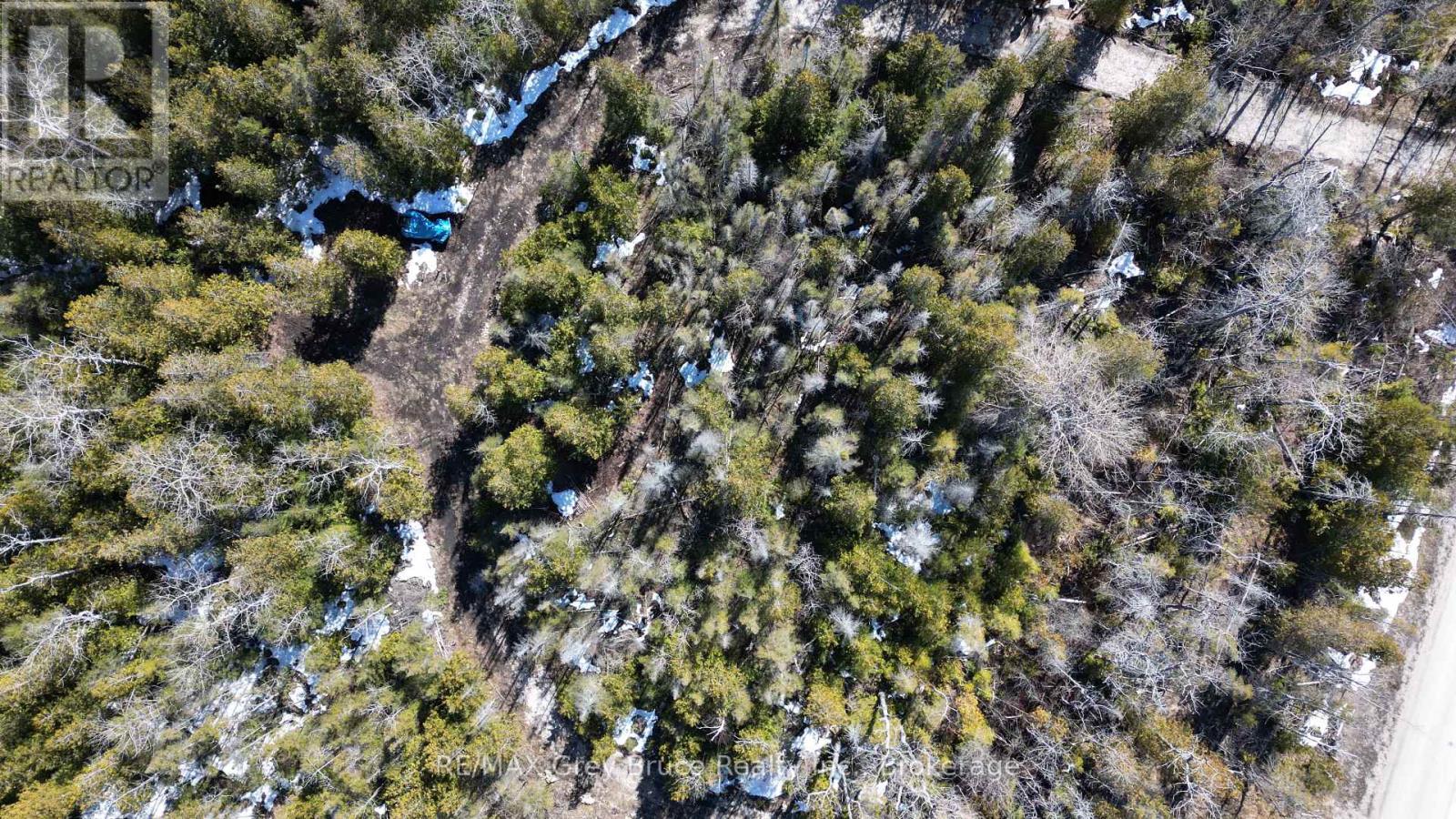 31 Baise Avenue, Northern Bruce Peninsula, Ontario  N0H 2R0 - Photo 19 - X12526086