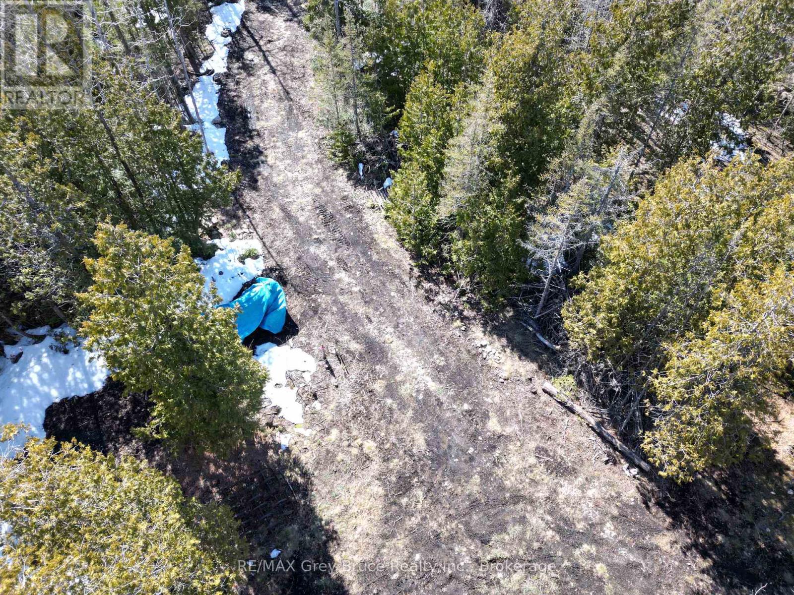 31 Baise Avenue, Northern Bruce Peninsula, Ontario  N0H 2R0 - Photo 6 - X12526086