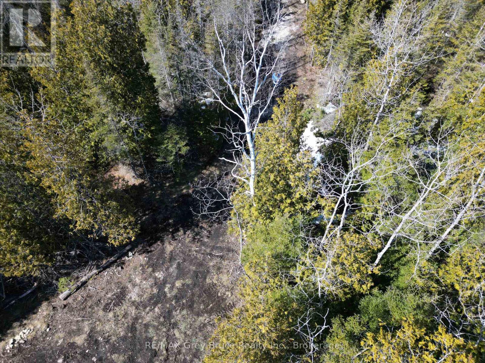 31 Baise Avenue, Northern Bruce Peninsula, Ontario  N0H 2R0 - Photo 7 - X12526086