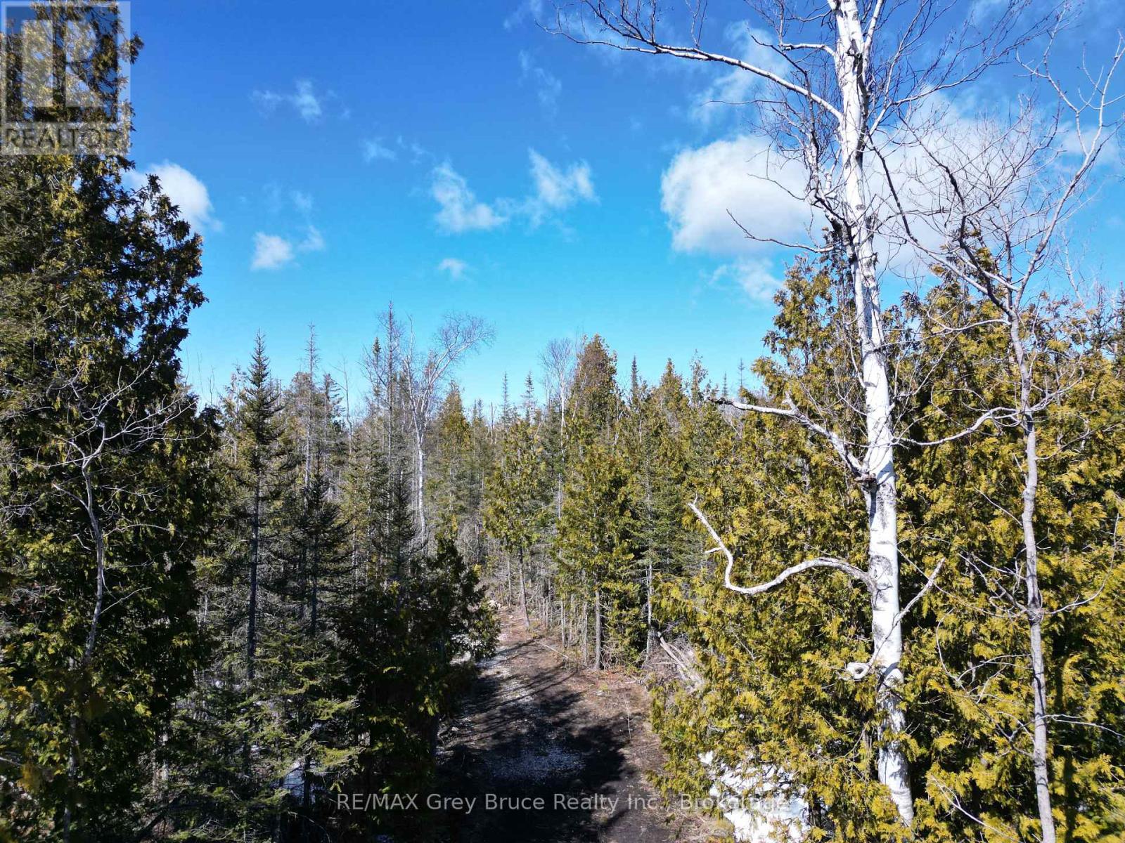 31 Baise Avenue, Northern Bruce Peninsula, Ontario  N0H 2R0 - Photo 9 - X12526086