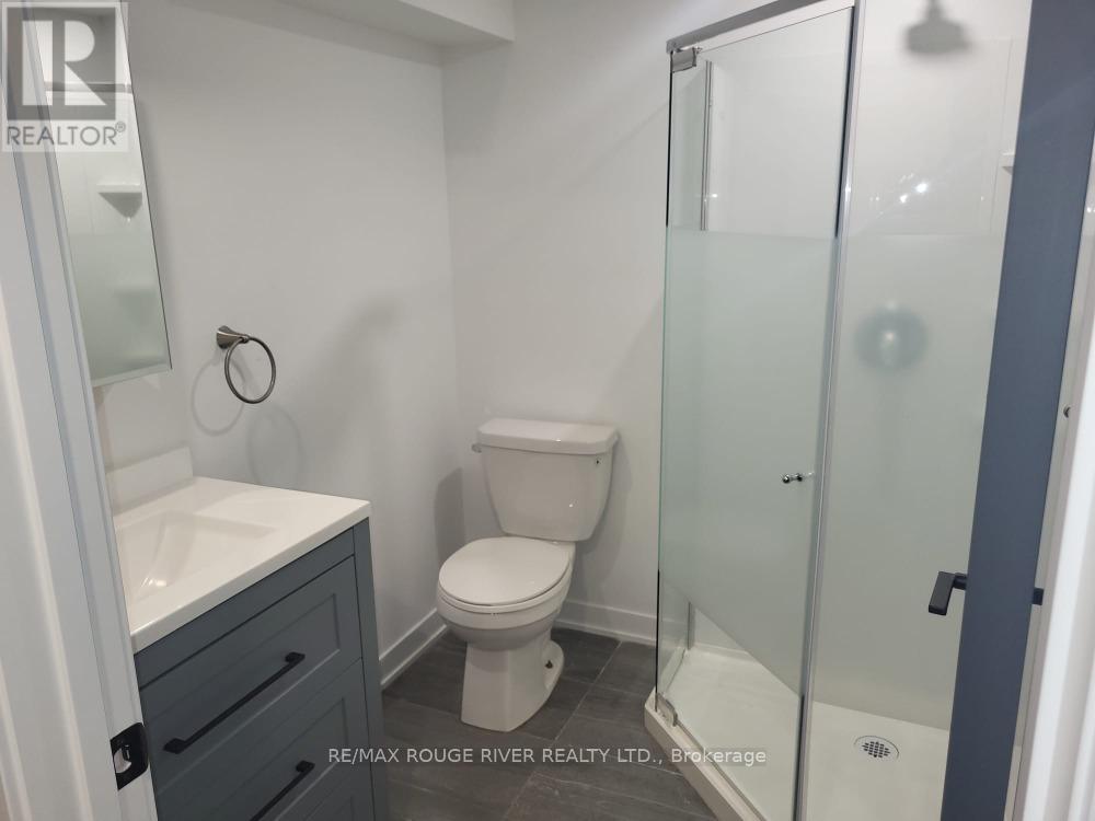 Lower Level - 116 Elinor Avenue, Toronto, Ontario  M1R 3H4 - Photo 9 - E12526064