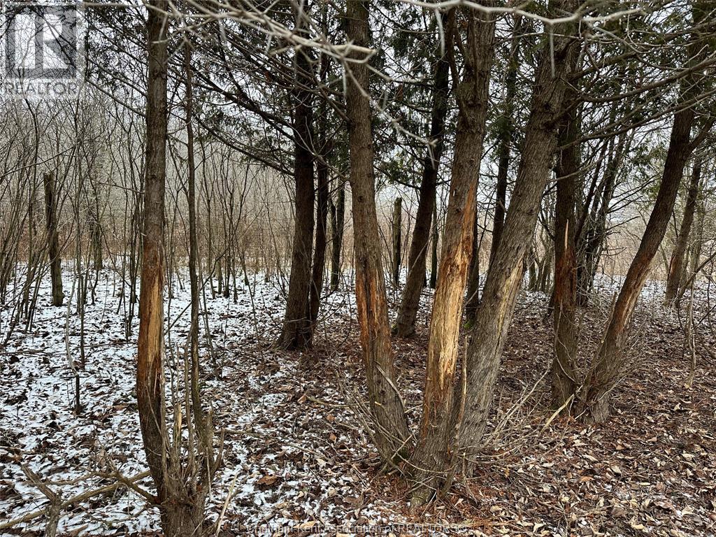 0 Oakdale Road, Dawn-Euphemia, Ontario N0N 1P0 - Photo 28 - 25026593