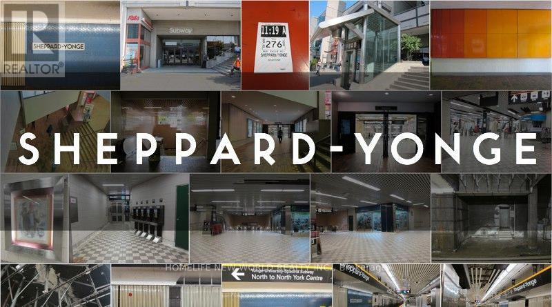 Main Fl - 14 Franklin Avenue, Toronto, Ontario  M2N 1B6 - Photo 16 - C12417966