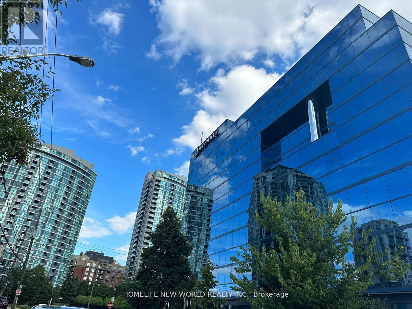 Main Fl - 14 Franklin Avenue, Toronto, Ontario  M2N 1B6 - Photo 17 - C12417966