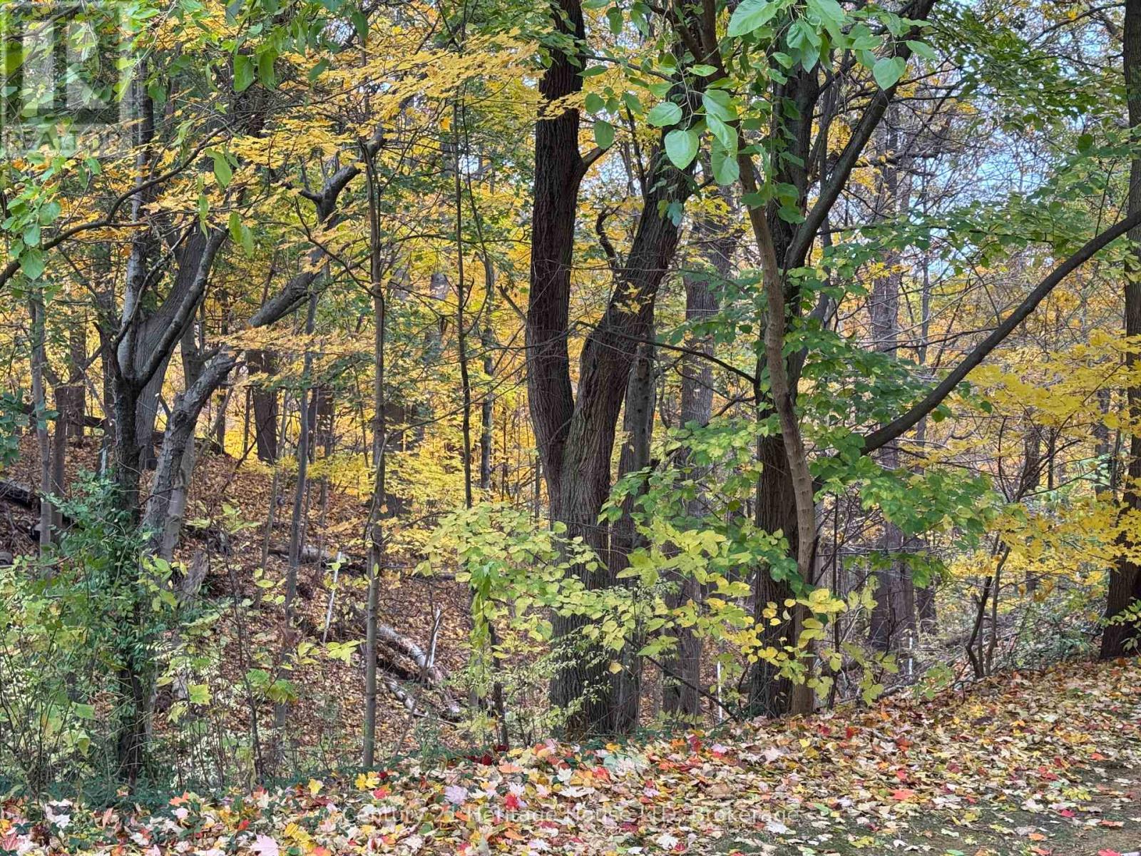 103b - 200 Hwy 20 W Road, Pelham, Ontario  L3E 0V7 - Photo 16 - X12427996