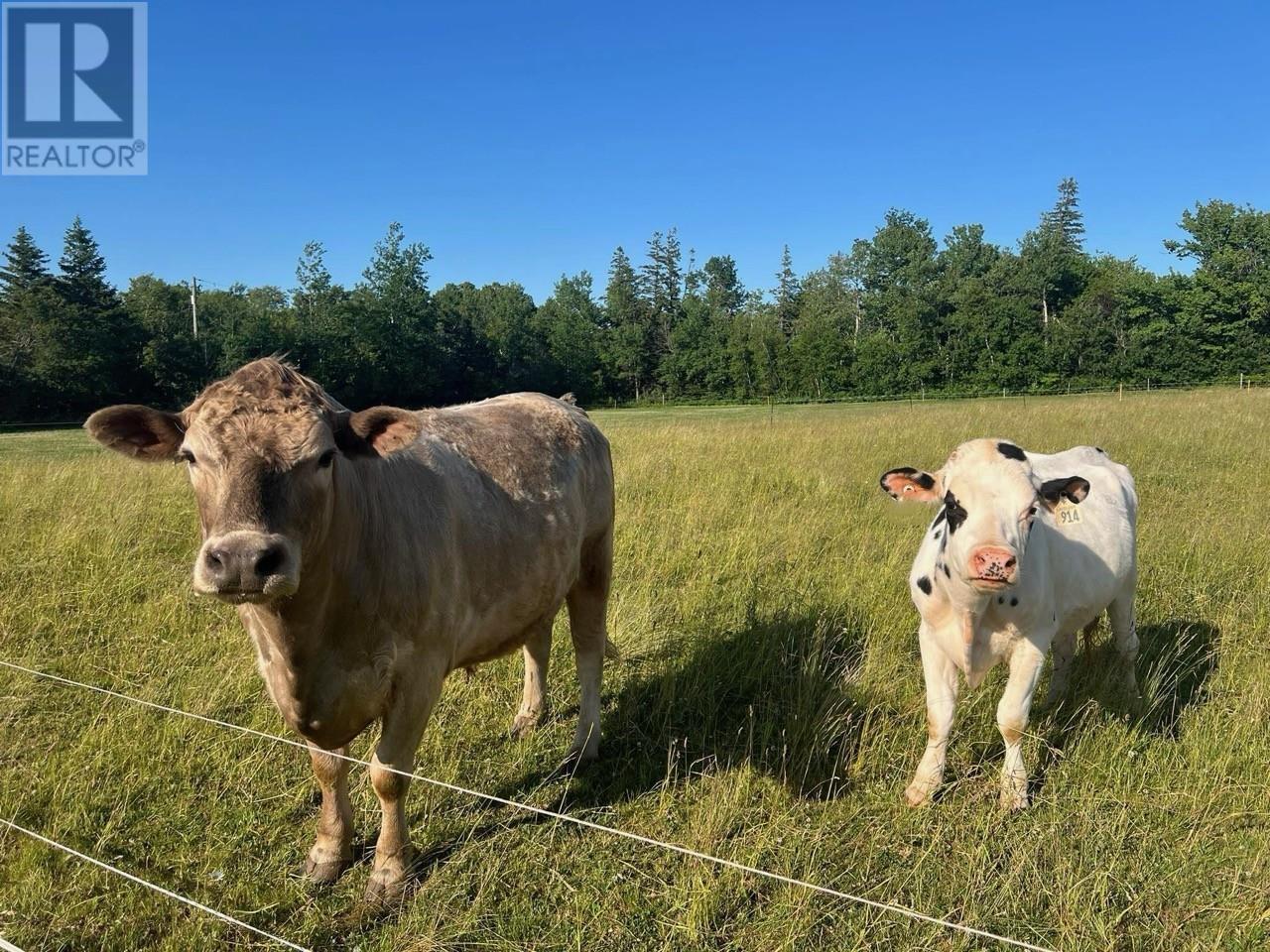 205 Dundee Loop, West St. Peters, Prince Edward Island  C0A 1S0 - Photo 35 - 202527053