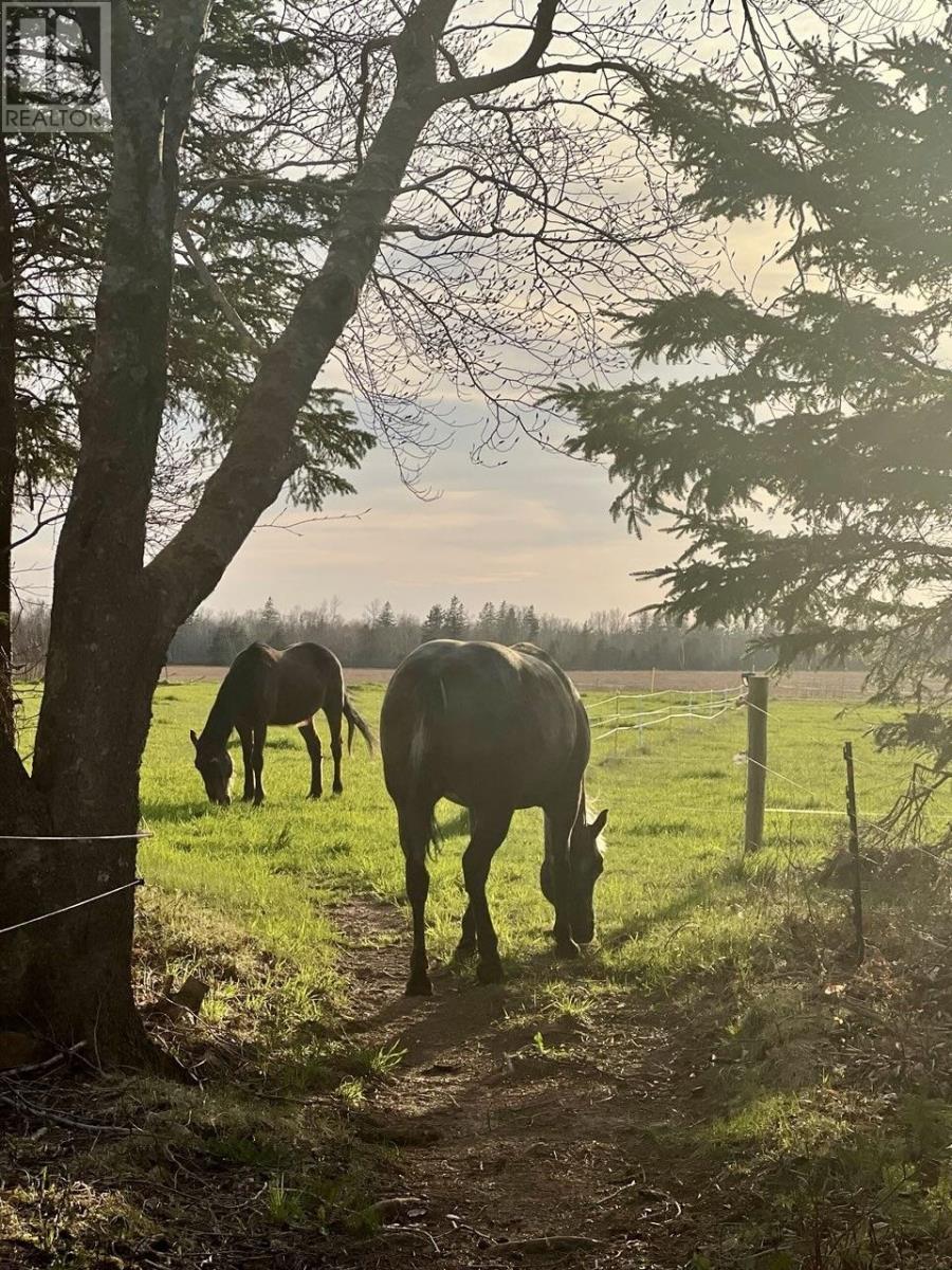 205 Dundee Loop, West St. Peters, Prince Edward Island  C0A 1S0 - Photo 31 - 202527053