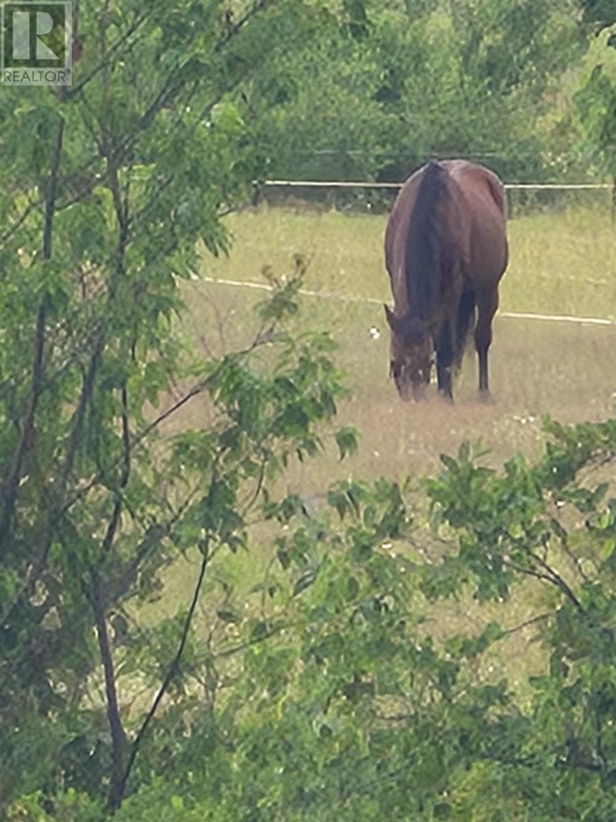 205 Dundee Loop, West St. Peters, Prince Edward Island  C0A 1S0 - Photo 33 - 202527053