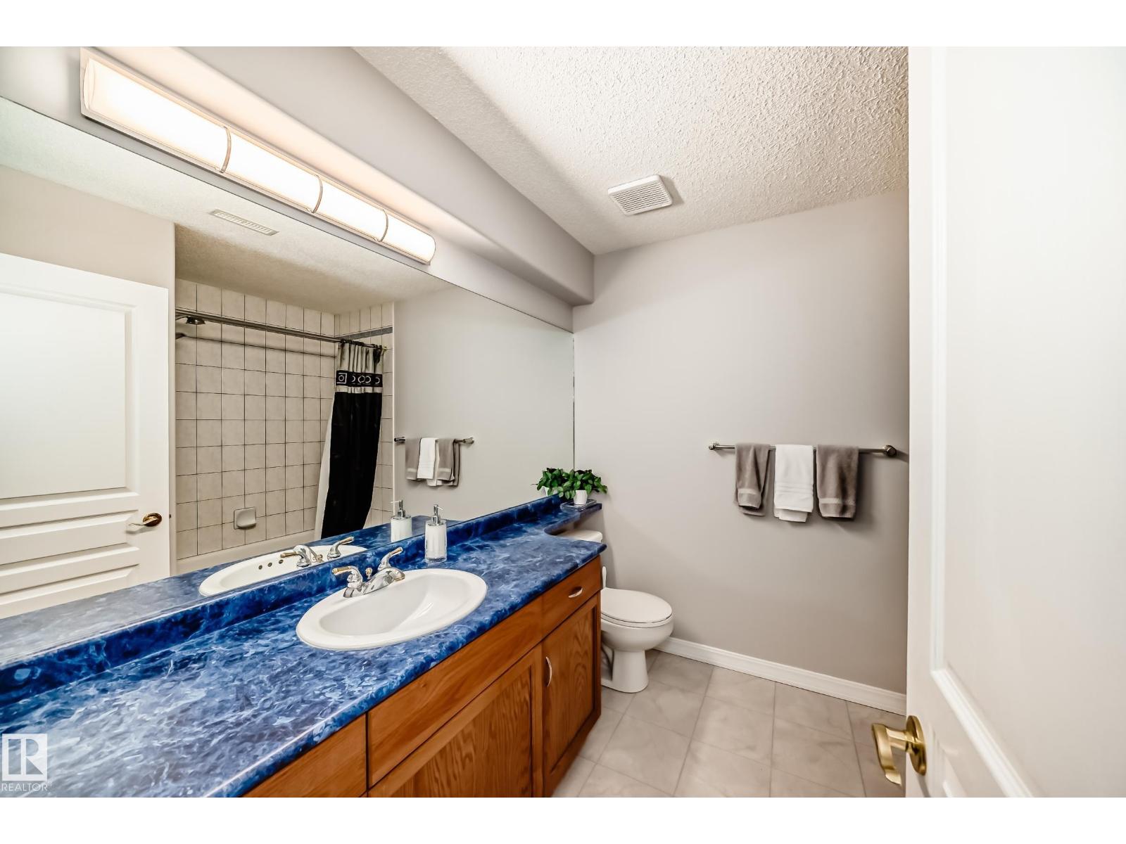 539 Dickens Lo Nw, Edmonton, Alberta  T6M 2S1 - Photo 51 - E4465174