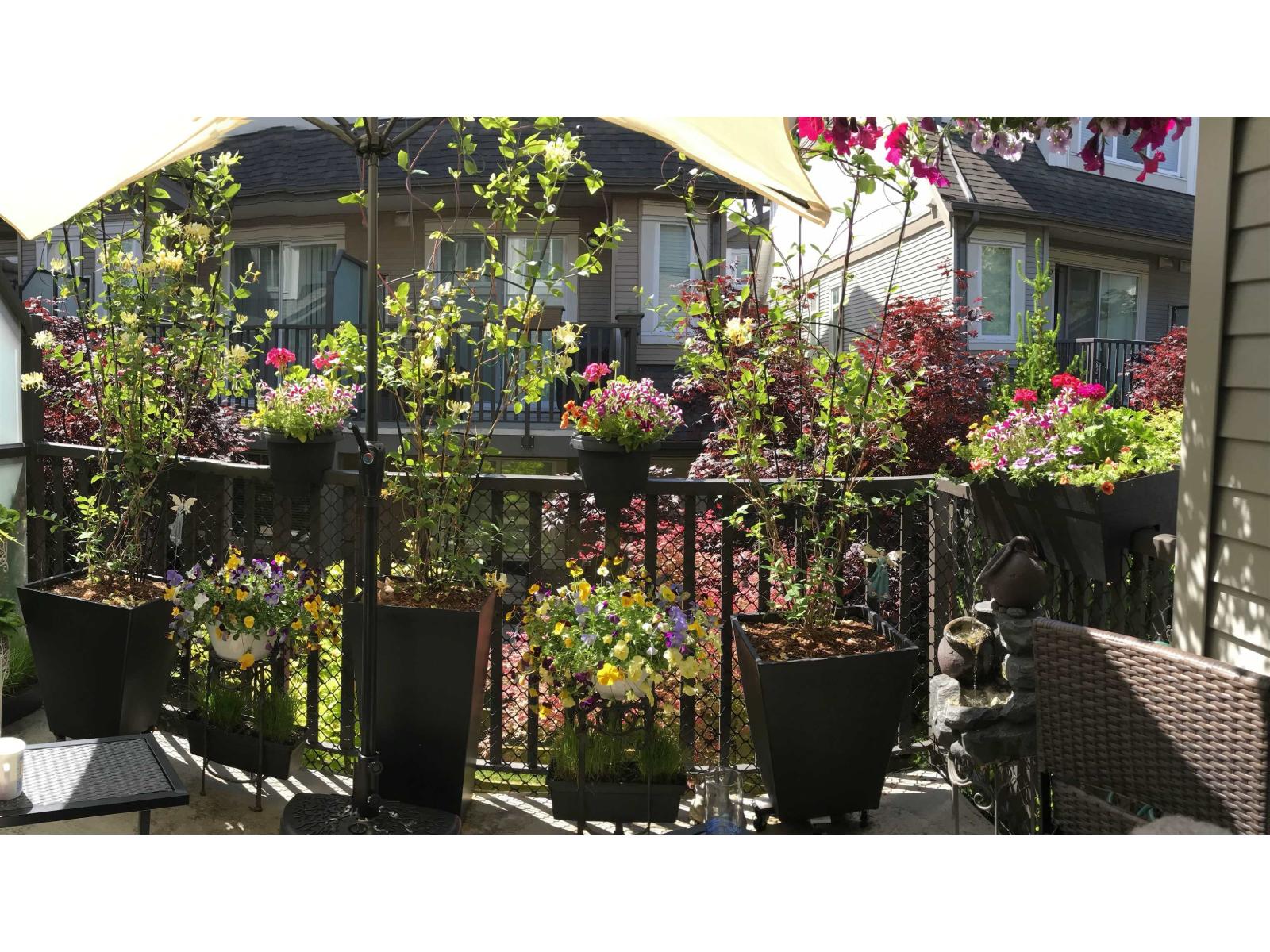 61 8250 209b Street, Langley, British Columbia V2Y 0J7 - Photo 23 - R3062388