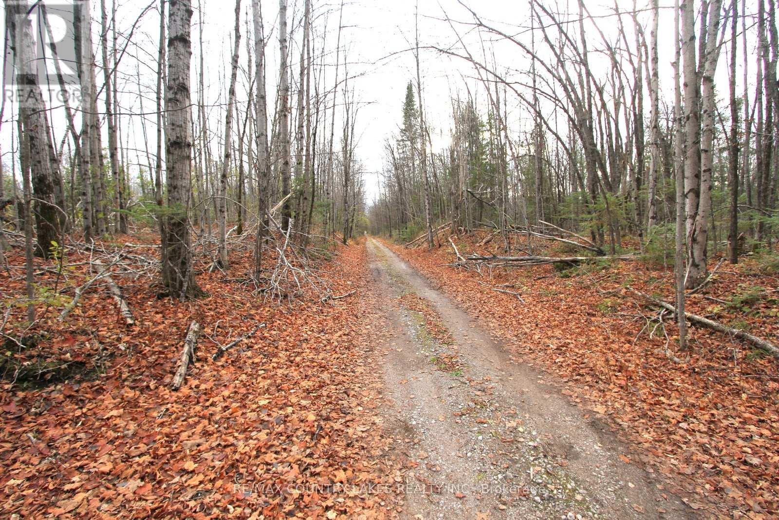 3 Ramblewood Trail, Kawartha Lakes, Ontario  K0M 2B0 - Photo 15 - X12526488