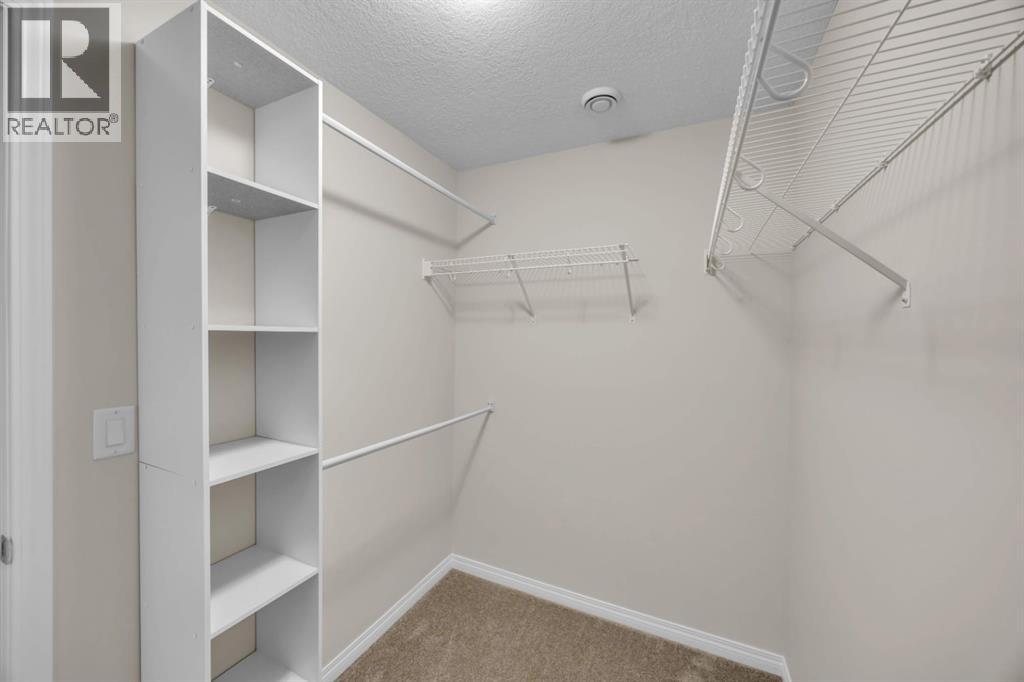 145 Red Sky Way Ne, Calgary, Alberta  T3N 0X7 - Photo 41 - A2256856