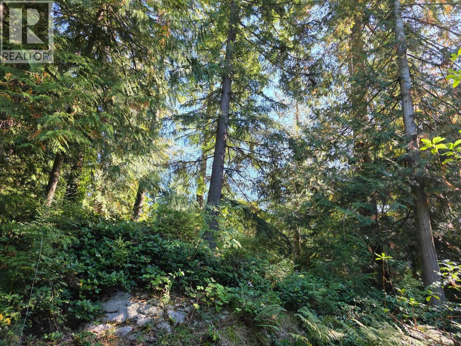 980 Woodley Road, Roberts Creek, British Columbia V0N 2W4 - Photo 23 - R3065985