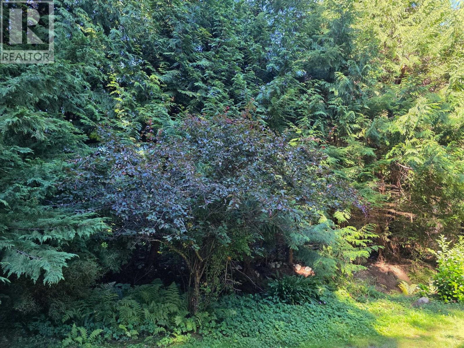 980 Woodley Road, Roberts Creek, British Columbia V0N 2W4 - Photo 24 - R3065985