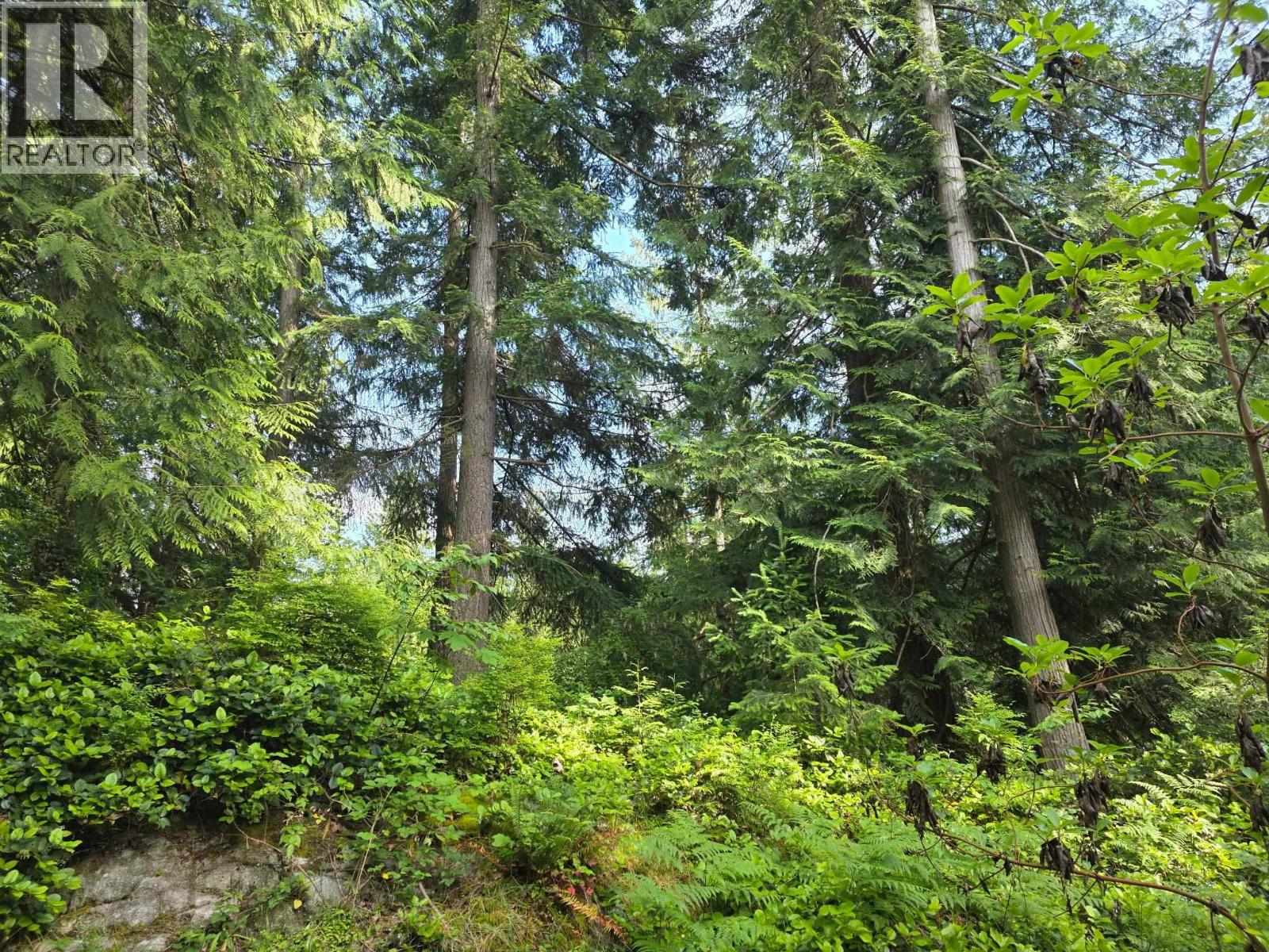 980 Woodley Road, Roberts Creek, British Columbia V0N 2W4 - Photo 28 - R3065985