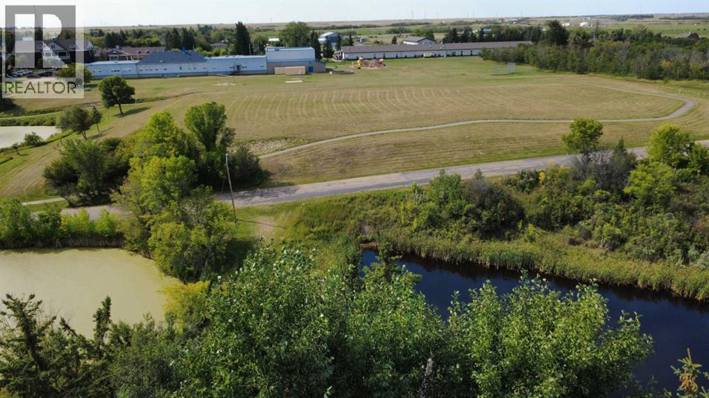 5006 55 Avenue, Castor, Alberta  T0C 0X0 - Photo 4 - A2252557
