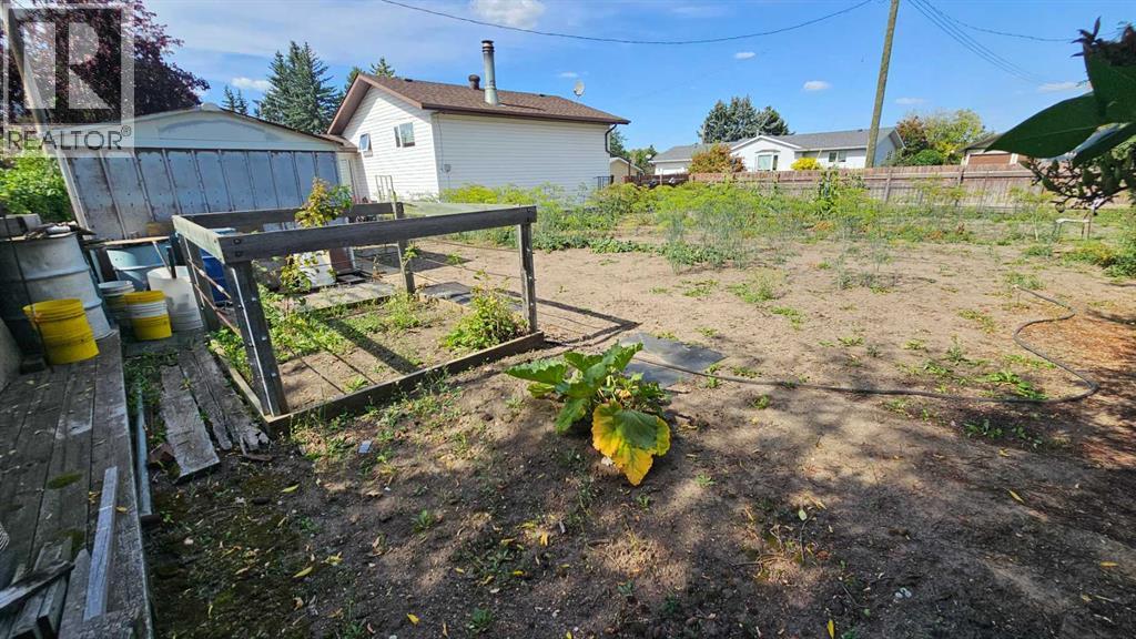 5006 55 Avenue, Castor, Alberta  T0C 0X0 - Photo 13 - A2252557