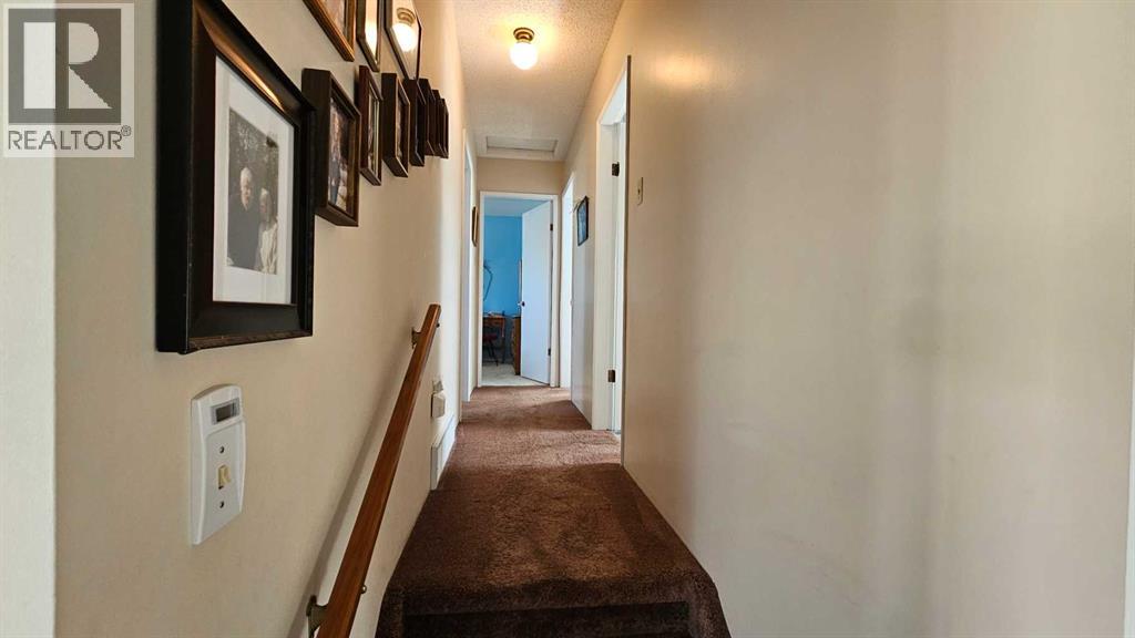 5006 55 Avenue, Castor, Alberta  T0C 0X0 - Photo 24 - A2252557