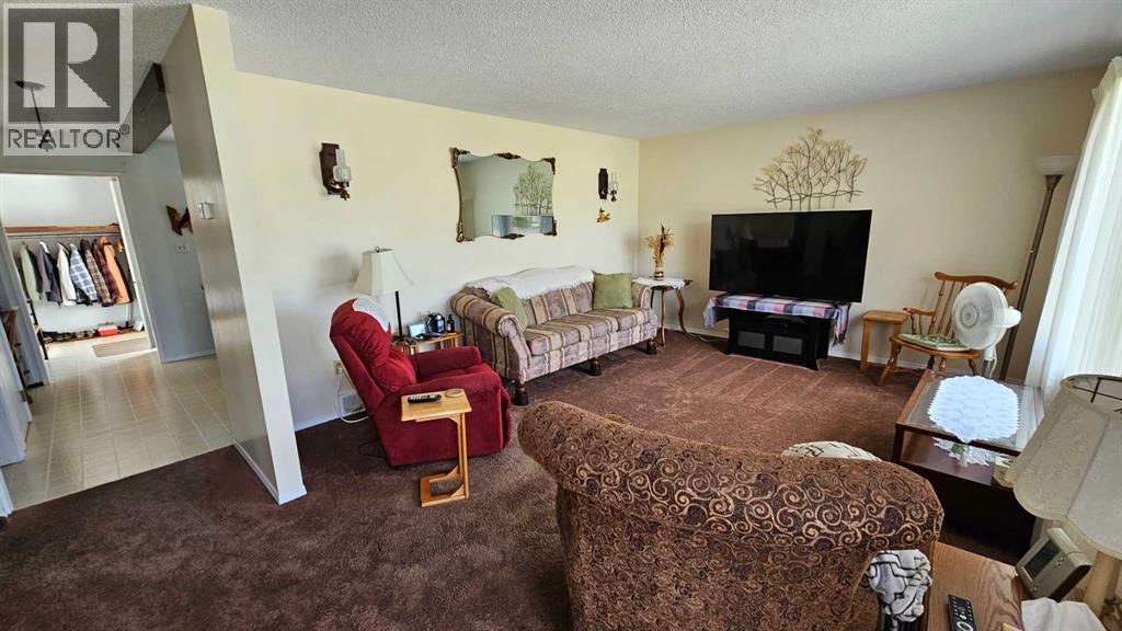 5006 55 Avenue, Castor, Alberta  T0C 0X0 - Photo 17 - A2252557