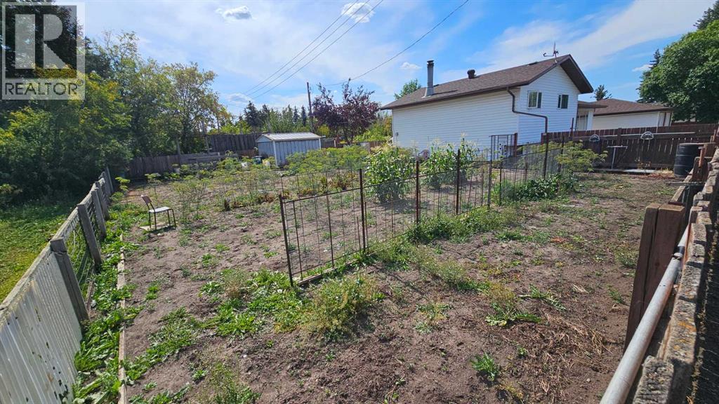 5006 55 Avenue, Castor, Alberta  T0C 0X0 - Photo 15 - A2252557