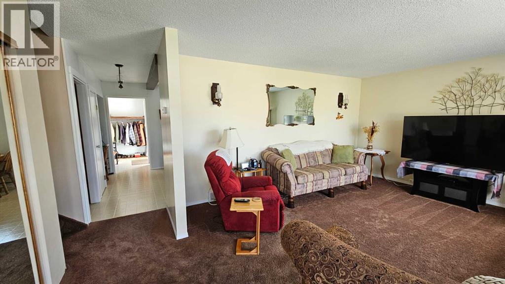 5006 55 Avenue, Castor, Alberta  T0C 0X0 - Photo 16 - A2252557