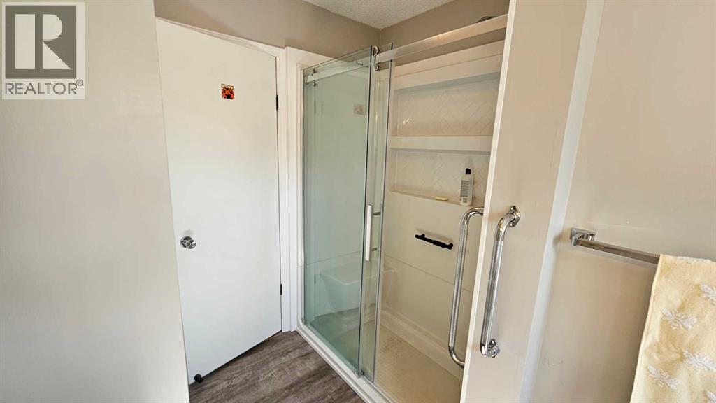 5006 55 Avenue, Castor, Alberta  T0C 0X0 - Photo 26 - A2252557