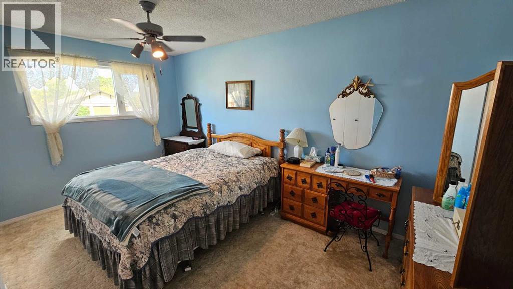 5006 55 Avenue, Castor, Alberta  T0C 0X0 - Photo 29 - A2252557