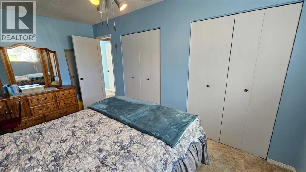 5006 55 Avenue, Castor, Alberta  T0C 0X0 - Photo 30 - A2252557