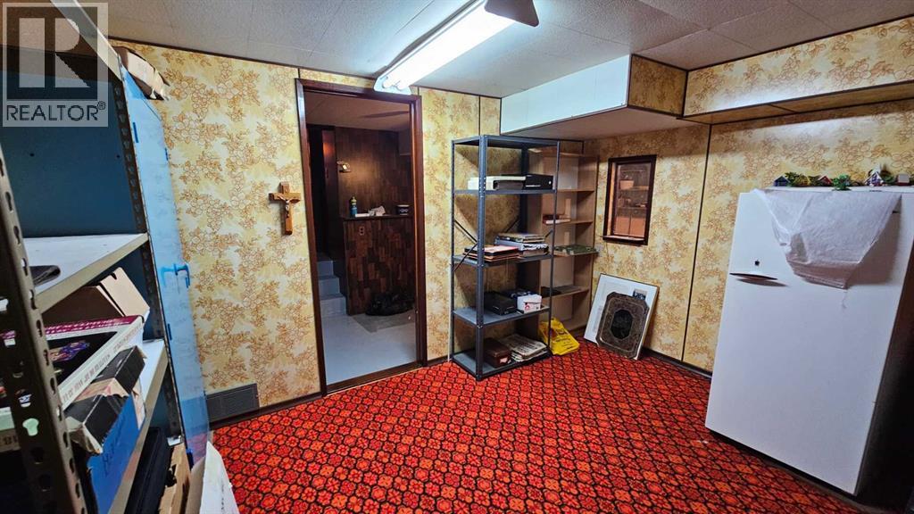 5006 55 Avenue, Castor, Alberta  T0C 0X0 - Photo 41 - A2252557