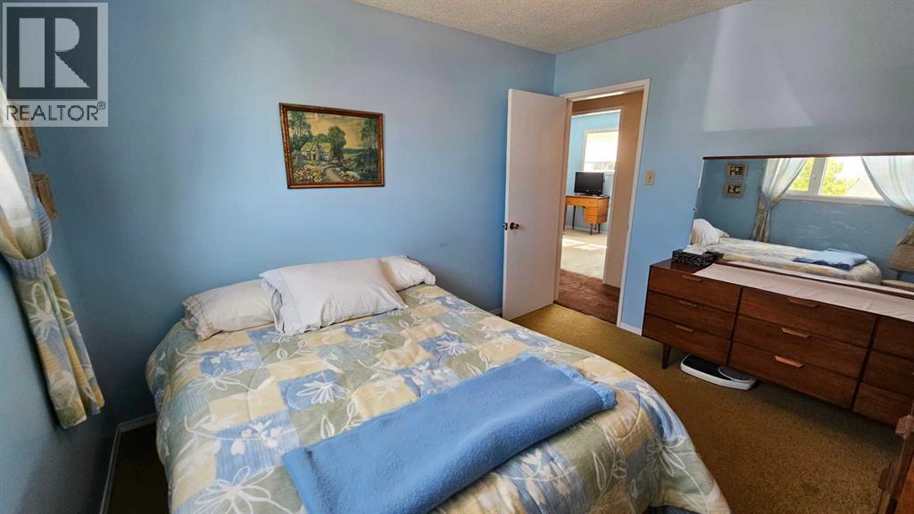 5006 55 Avenue, Castor, Alberta  T0C 0X0 - Photo 32 - A2252557