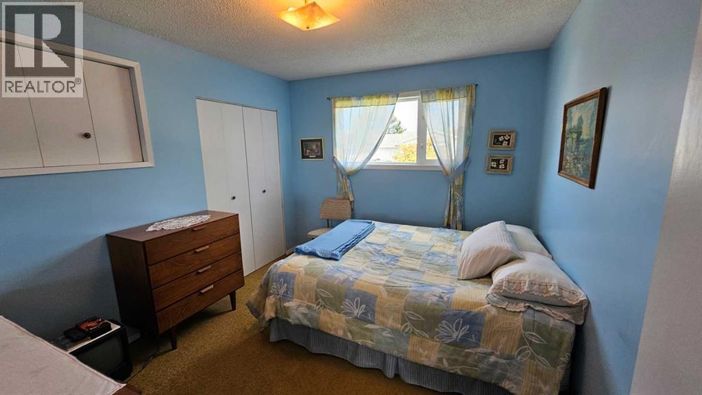 5006 55 Avenue, Castor, Alberta  T0C 0X0 - Photo 31 - A2252557