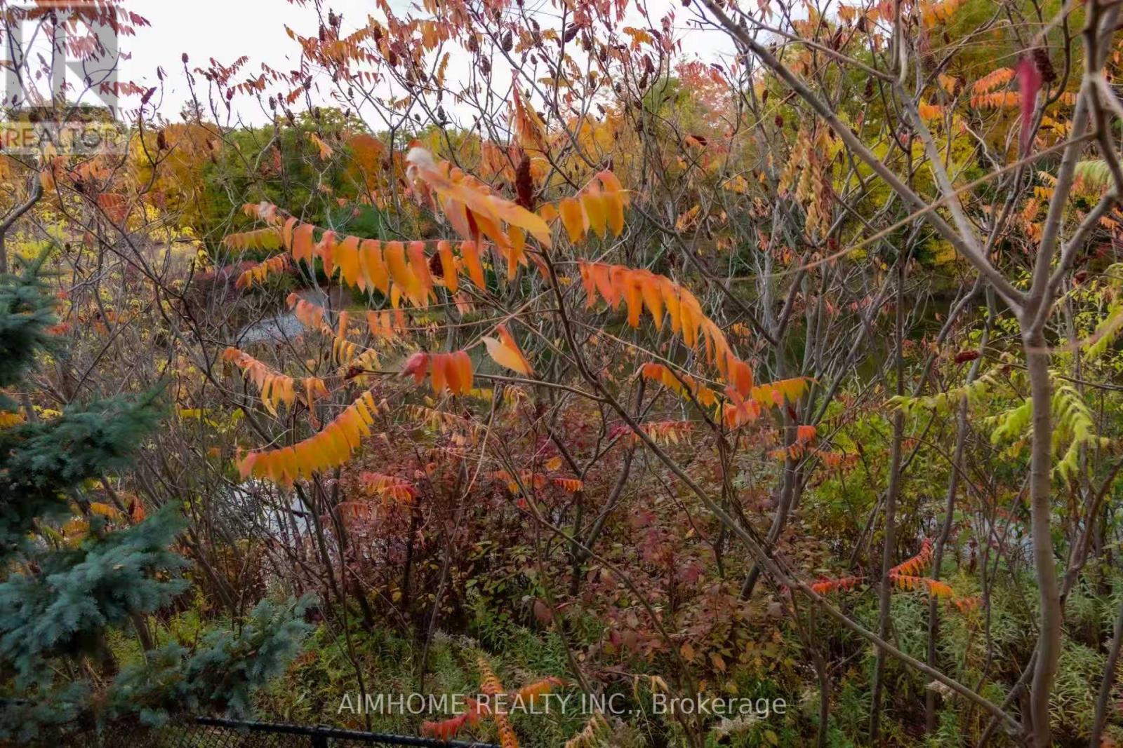 19 Durango Drive, Richmond Hill, Ontario  L4S 2W5 - Photo 23 - N12526674