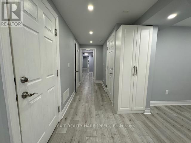 Basement - 31 Meadowlark Drive, Halton Hills, Ontario  L7G 6N2 - Photo 4 - W12469133