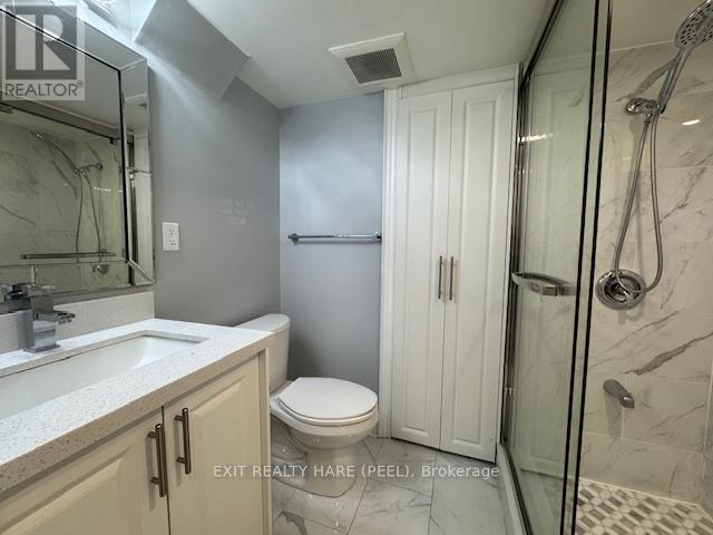 Basement - 31 Meadowlark Drive, Halton Hills, Ontario  L7G 6N2 - Photo 16 - W12469133