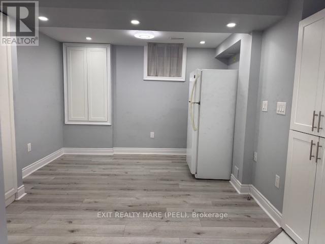 Basement - 31 Meadowlark Drive, Halton Hills, Ontario  L7G 6N2 - Photo 9 - W12469133