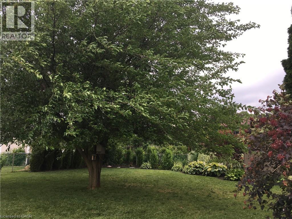 11 Wordsworth Place Unit# Lower, Kitchener, Ontario  N2B 3K6 - Photo 16 - 40786183